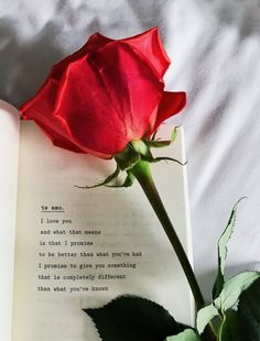 a red rose sitting on top of an open book