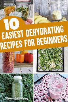 10 easy and delicious dethydraing recipes for beginners that are perfect to make