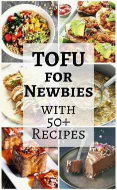 the top 10 newbies with 50 + recipes tofu for dinner, lunch and dessert