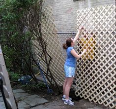 two pictures of a woman leaning against a fence with her hands in the air, and another photo of a person holding a planter