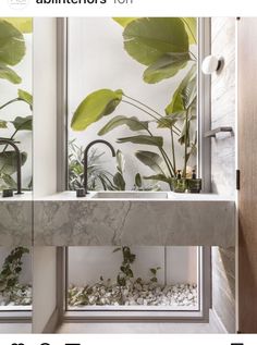 a bathroom sink sitting next to a window covered in plants