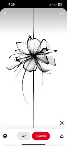 a black and white photo of a flower