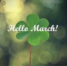 a clover with the words hello march so glad your here