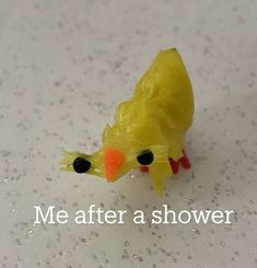 a yellow plastic toy bird sitting on top of a white surface with the words me after a shower written below it