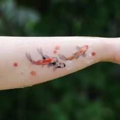 a woman's arm with two koi fish on it and stars in the background