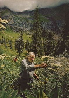 an old man standing in the middle of a lush green forest filled with tall grass