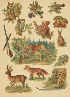 an old book with many different animals and birds on it's cover, including a house