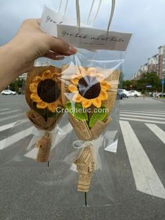 two sunflowers are wrapped in cellophane and tied with twine to each other