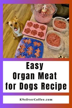 Feist dog about to eat an organ meat treat for dogs Raw Meat For Dogs, Raw Meat Diet For Dogs, Homemade Raw Dog Food, Venison Dog Food, Organ Meat Recipes, Raw Diet Recipes, Cooker Dog, Dog Food Supplements, Cooked Dog Food