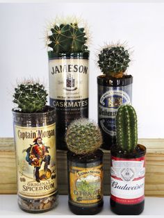 Landscaping Florida, Liquor Bottle Crafts, Stylish Curtains, Accessory Ideas, Bathroom Decor Ideas, Glass Bottle Crafts, House Plants Decor, Plant Mom, Liquor Bottles