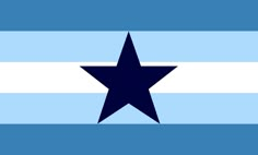 the flag of the state of north carolina with a star on it's side