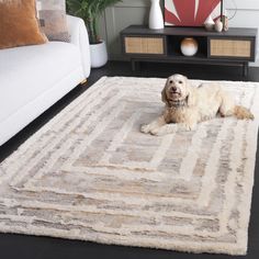 a dog laying on top of a rug in a living room