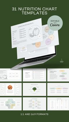 an image of a laptop screen with the text, nutrition chart templates on it