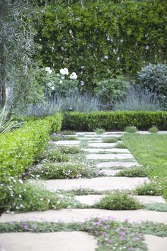 a stone path in the middle of a garden