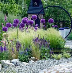 a garden with purple flowers and green grass