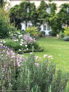 the garden is full of flowers and greenery