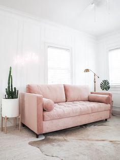 a living room with a pink couch and potted cactus in the corner on the floor