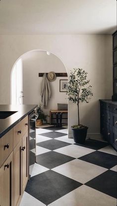 a black and white checkered kitchen floor with potted plant on the counter top