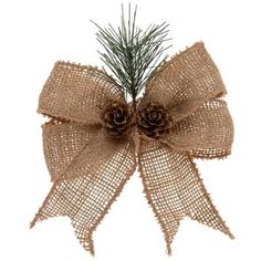 a pine cone and burlock bow on a white background