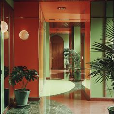 a hallway with potted plants on the floor and an orange wall in the background