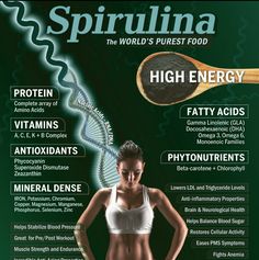 Spirulina Chlorella Benefits, Chlorella And Spirulina Benefits, Spiriluna Health Benefits, Spirulina Vs Chlorophyll, Benefits Of Spirulina Powder, Spirulina Vs Chlorella Benefits, Chlorella Vs Spirulina, Spirulina Benefits For Women, Blue Spirulina Benefits