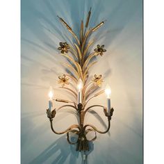 a wall mounted candle holder with three candles in the shape of a flower and leaves