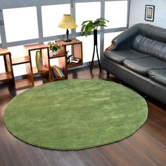 a living room filled with furniture and a green rug