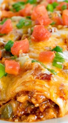 a close up of a plate of enchilada casserole