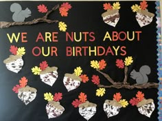 a bulletin board with leaves and acorns on it that says, we are nuts about our birthdays