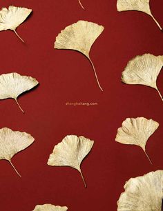 the golden ginko book cover is shown on a red background with white leaf shapes