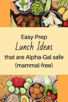 the words easy prep lunch ideas that are alpha gat safe mamma - free