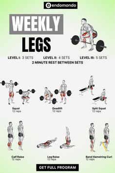 an image of a poster showing the different exercises to do for your bodybuilding program