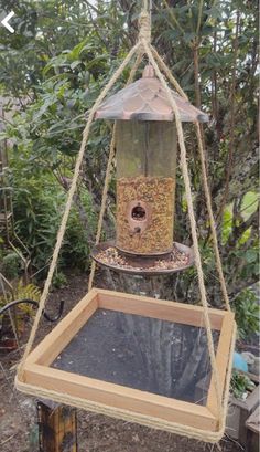 a bird feeder hanging from the side of a tree