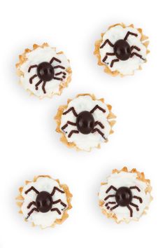 four cookies with white frosting and chocolate spider decorations