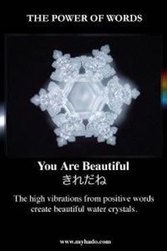 Dr Emoto, Masaru Emoto Water, Water Memory, Hidden Messages In Water, Water Crystals, Masaru Emoto, Tiny Nose Studs, Tiny Nose, The Power Of Words