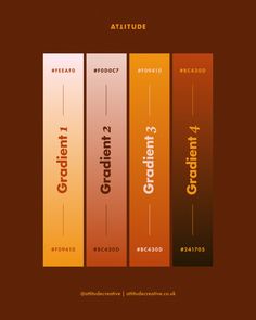 an orange and brown book cover with different font