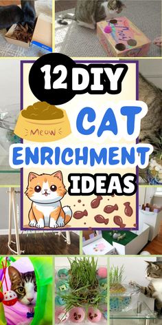 cat enrichment ideas for the 12 diy cat crafts that are easy to make