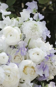 a bouquet of white and purple flowers