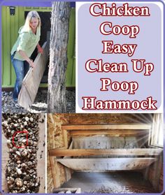 chicken coop easy clean up poop hammock