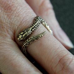 My Pet Garden Snake Ring in Bronze. $45.00, via Etsy. Mysterious Jewelry, Garden Snake, Pet Garden, Garden Snakes, Garter Snake, Double Rings, My Pet, Snake Ring, Double Ring