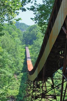 a train traveling over a bridge in the woods