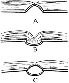 three different types of books with the same bookmark, vintage line drawing or engraving illustration