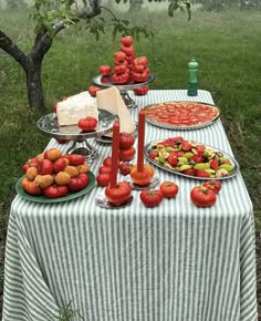 a table topped with lots of food on top of a grass covered field next to a tree