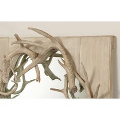 a mirror with antlers hanging on the wall