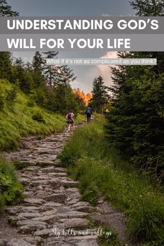 two people walking down a stone path in the woods with text overlay that reads, how to understand god's will for your life