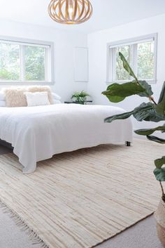 a bedroom with a bed, rug and plants in the corner on either side of the window