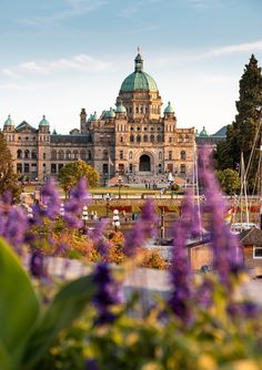 Parlement de la Colombie-Britannique, Victoria, Canada / BC Parliament, Victoria, Canada Victoria Bc Canada Aesthetic, Victoria Canada Aesthetic, Bc Aesthetic, Canada Vibes, Victoria City, University Of Victoria, Canada Trip, Victoria Bc Canada, Victoria Island