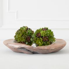 two small succulent plants in a wooden bowl