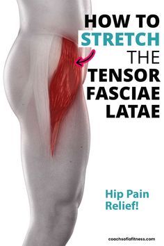 the cover of how to stretch the tendor fasciae latiae