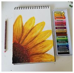 a sunflower is next to some crayons on a white table with a watercolor pencil